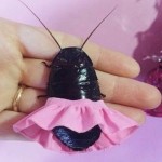 Seaslugging's Avatar