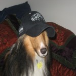 riotk9's Avatar