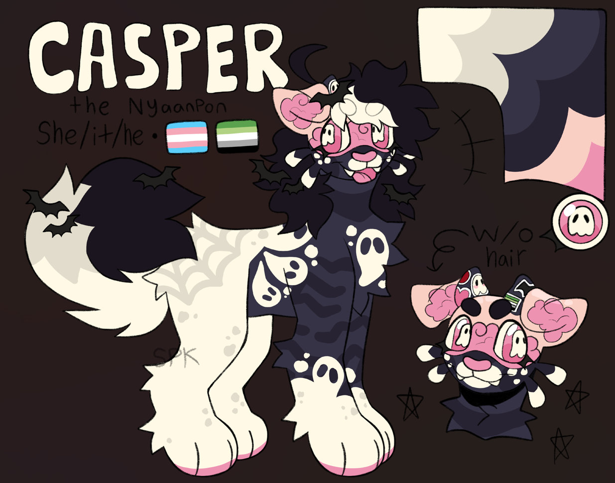 NYA-0197: Casper